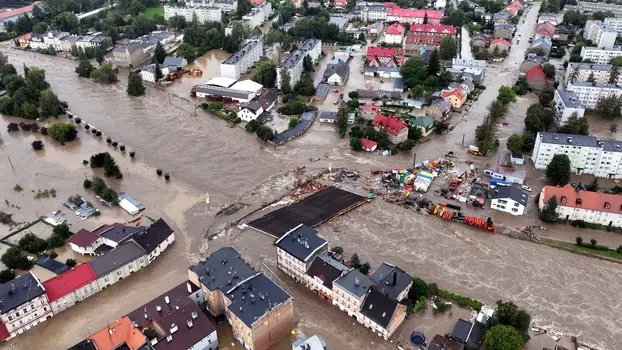 Foto_profimedia-150924