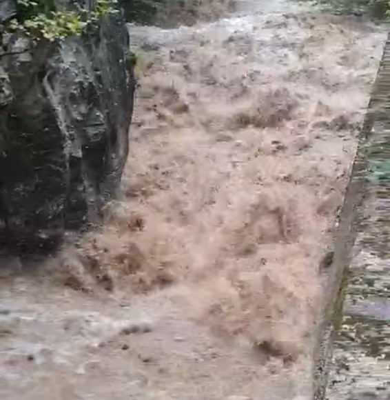 Screenshot 2024-10-04 155109