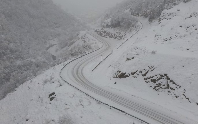 Screenshot 2024-12-25 130956